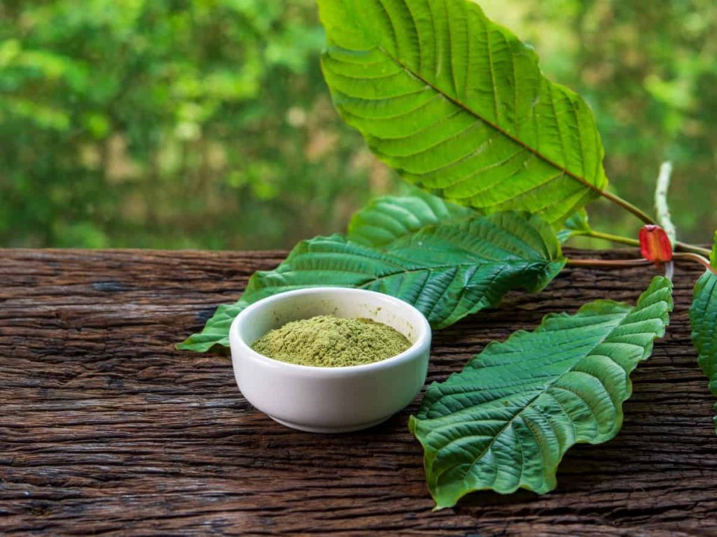How Long Does Kratom Stay In Your System